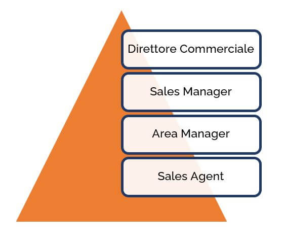 Sales Manager inquadramento organigramma Go To Sales strategia commerciale integrata